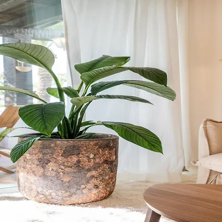 Seaside With Pool * 埃斯特波纳