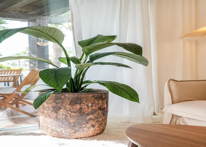 Seaside With Pool * Estepona